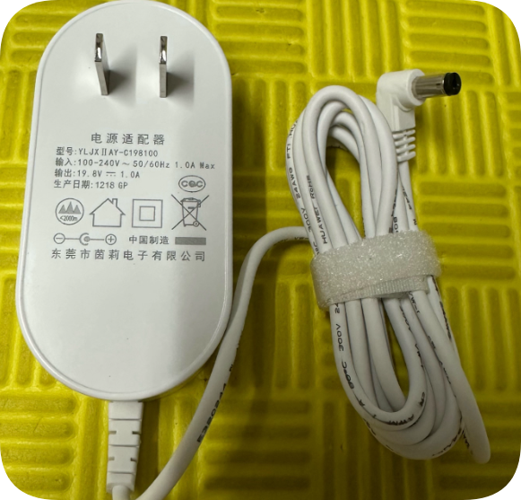 *Brand NEW*19.8V 1A round port 5.5*2.1mm charger cable DC YLJXIIAY-C198100 power adapter